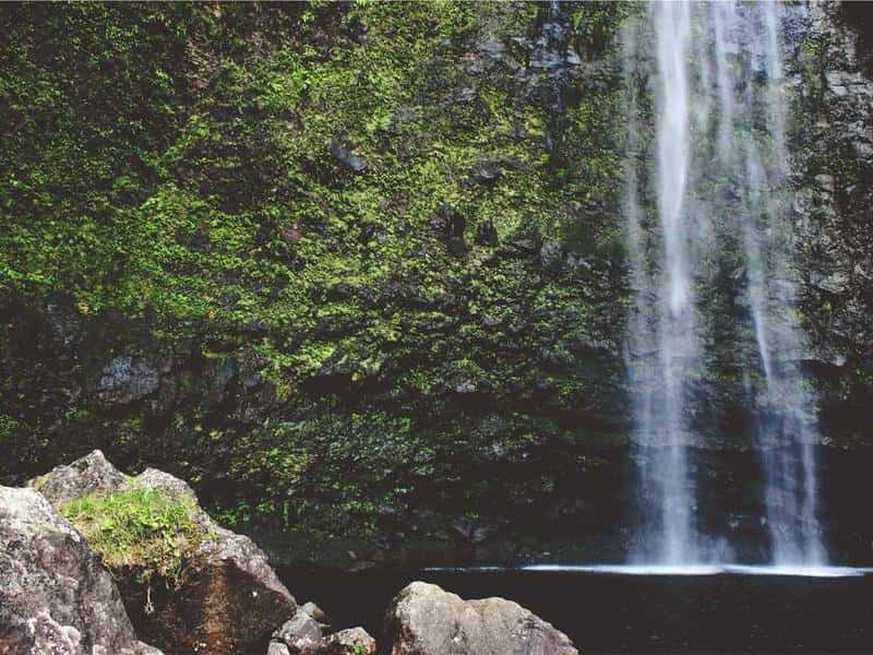 The Philosophy of Pleasure and Rational Pursuit