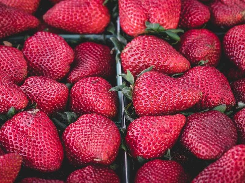 Climate Change and Renewable Energy Solutions