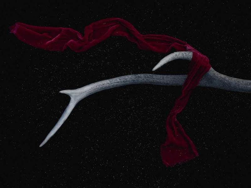 The Psychology of Habit Formation and Behavior Change